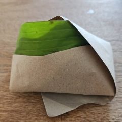 المحكمة مليئة بالفساد